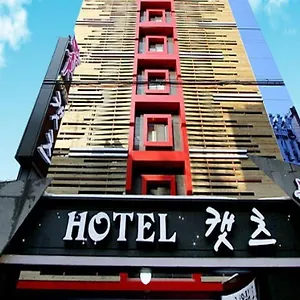 Cats Hotel Bucheon